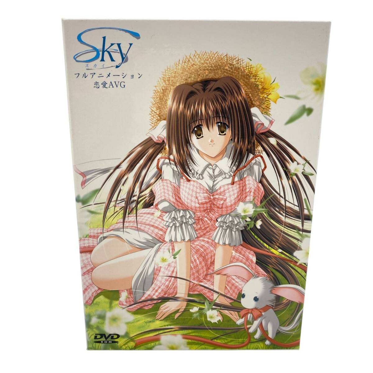 ちぇりーそふと SKY スカイ フルアニメーション 戀愛(ài) AVG PC ゲームソフト DVD-ROM Windows ※現(xiàn)狀品