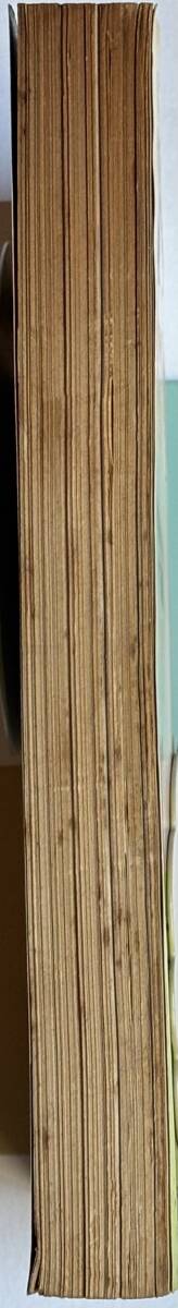  * 月刊カドカワ 1991年4月号 * 氷室京介 片岡義男 尾崎豊 斉藤由貴 高木美保_画像4