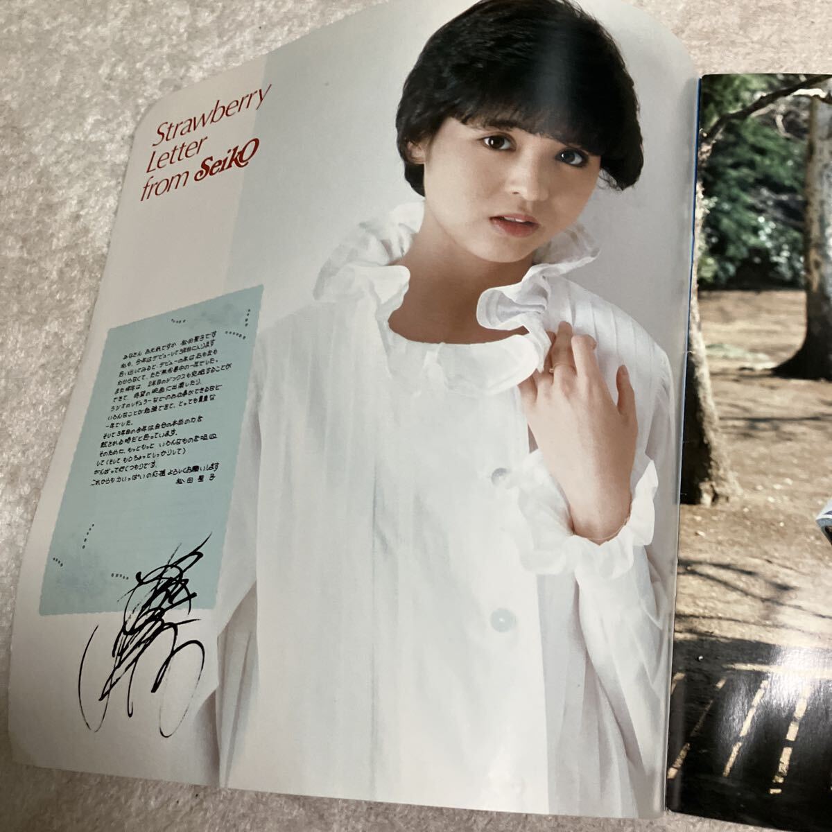 松田聖子 コンサートパンフレット Seiko fantastic graph _画像3