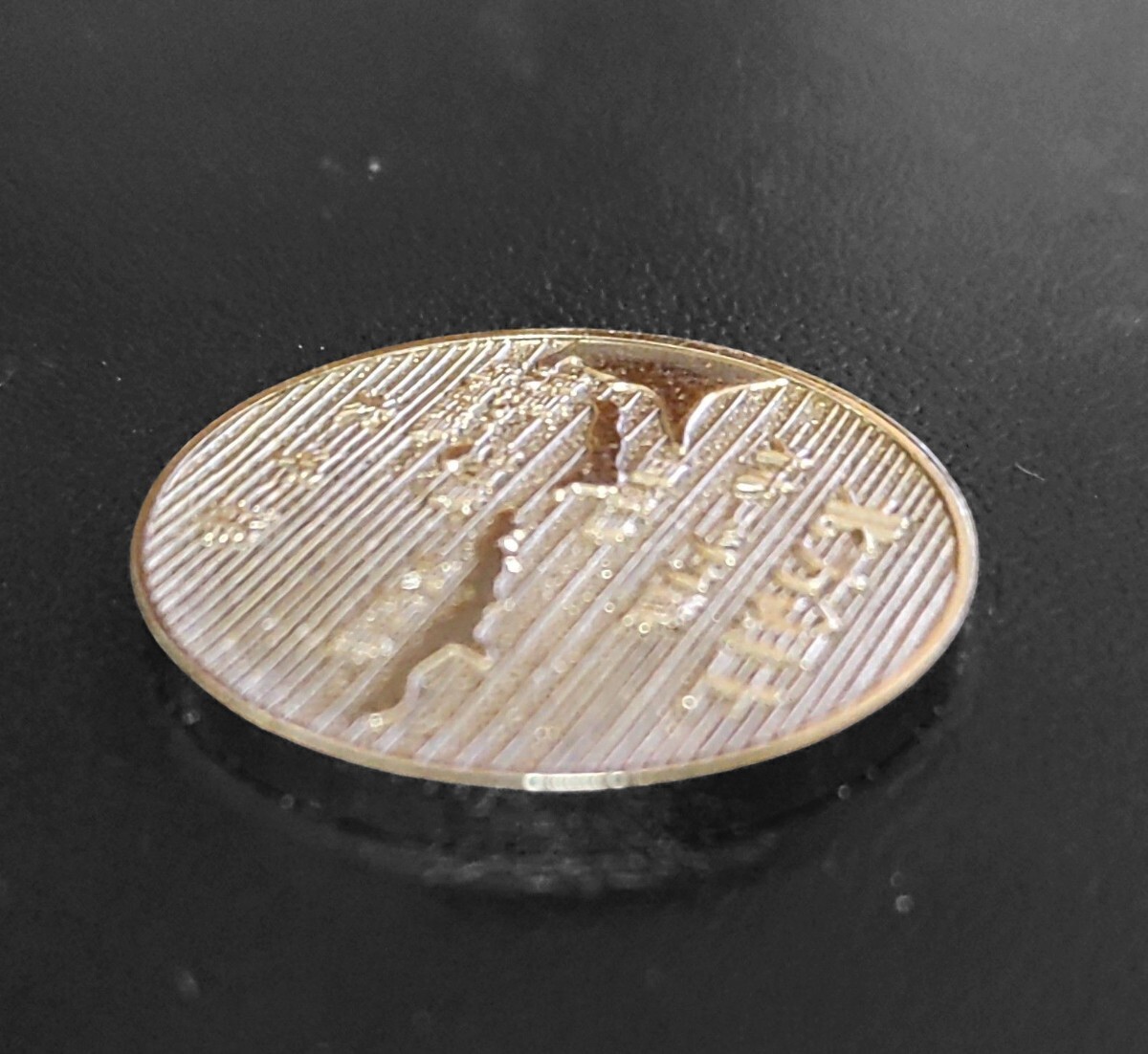 希少ウルトラメガレア！　昭和レトロ　◎北方領土[島よ帰れ]　記念メダル 　美品　 コイン　海外は高値_画像7