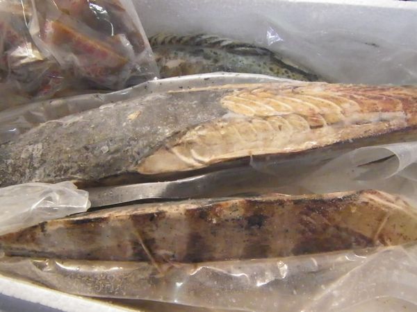 〔業(yè)務(wù)用大量?お買(mǎi)い得〕かつおのたたき3ｋｇセット〔Ｅ〕鰹☆