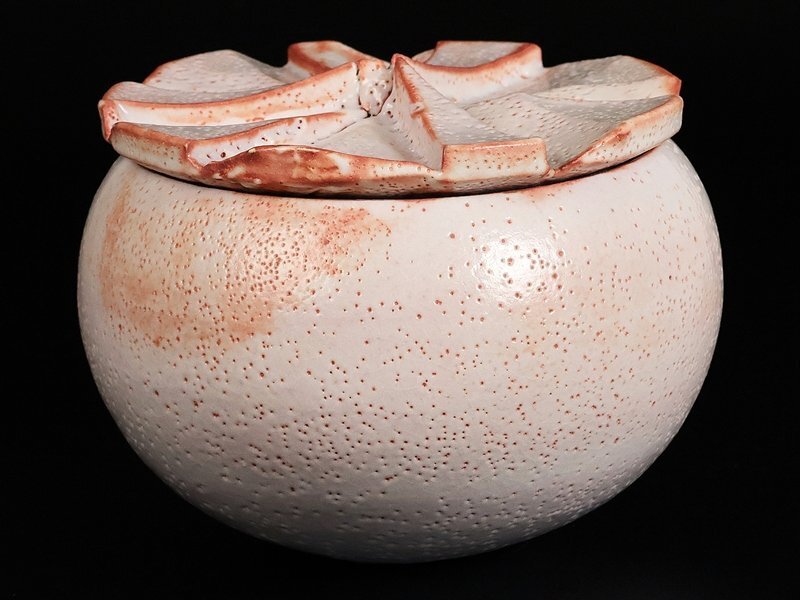 [ Suzuki магазин ] высокого класса произведение Shino крышка предмет выставка просмотр . лот альбом с иллюстрациями размещение произведение! человек национальное достояние вместе коробка гарантия 12737