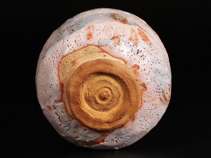 [. река . магазин ] высокого класса произведение Shino чашка название .! человек национальное достояние вместе коробка гарантия 16327