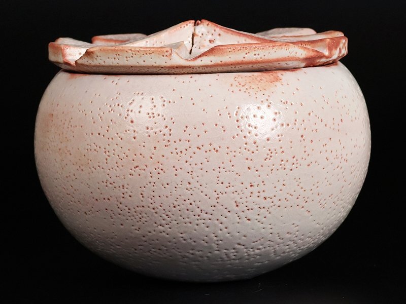 [ Suzuki магазин ] высокого класса произведение Shino крышка предмет выставка просмотр . лот альбом с иллюстрациями размещение произведение! человек национальное достояние вместе коробка гарантия 12737