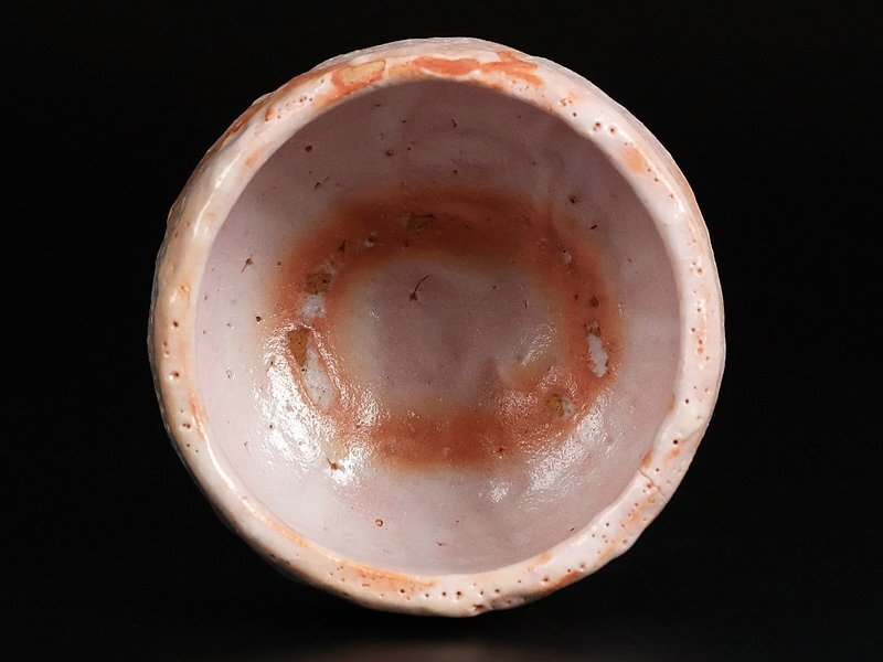 [. река . магазин ] высокого класса произведение Shino чашка название .! человек национальное достояние вместе коробка гарантия 16327