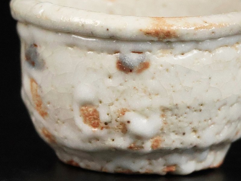 [. река . магазин ] превосходящий . произведение Shino sake чашечка для сакэ человек национальное достояние вместе коробка гарантия 17130