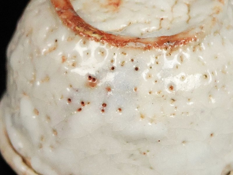 [. река . магазин ] превосходящий . произведение Shino sake чашечка для сакэ человек национальное достояние вместе коробка гарантия 17130