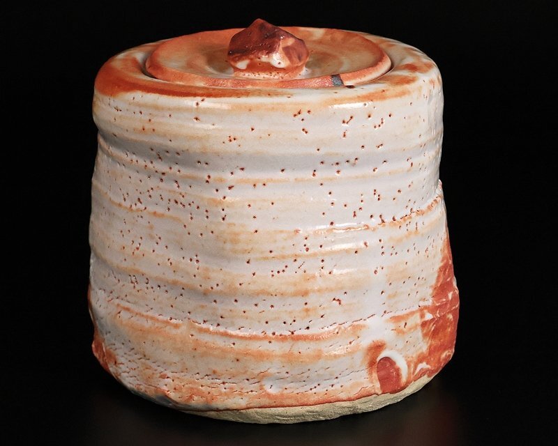 [ Suzuki магазин ] высокого класса произведение Shino сосуд для воды для чайной церемонии выставка просмотр . лот альбом с иллюстрациями размещение произведение! человек национальное достояние вместе коробка гарантия 10212