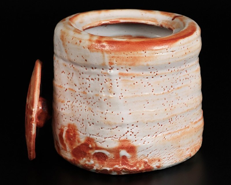 [ Suzuki магазин ] высокого класса произведение Shino сосуд для воды для чайной церемонии выставка просмотр . лот альбом с иллюстрациями размещение произведение! человек национальное достояние вместе коробка гарантия 10212