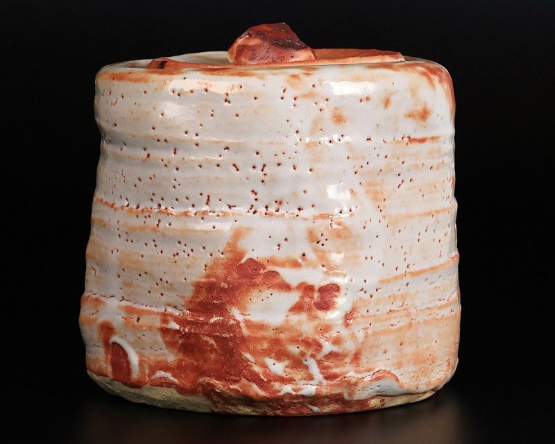 [ Suzuki магазин ] высокого класса произведение Shino сосуд для воды для чайной церемонии выставка просмотр . лот альбом с иллюстрациями размещение произведение! человек национальное достояние вместе коробка гарантия 10212