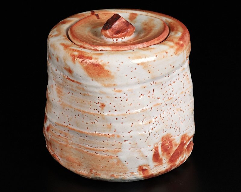 [ Suzuki магазин ] высокого класса произведение Shino сосуд для воды для чайной церемонии выставка просмотр . лот альбом с иллюстрациями размещение произведение! человек национальное достояние вместе коробка гарантия 10212