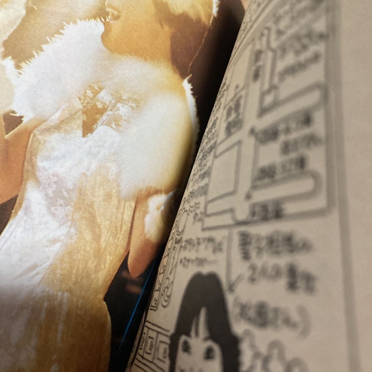 微笑白書 19章 松田聖子 明星付録 当時物　アイドル　聖子ちゃん　昭和57年　4月_画像5