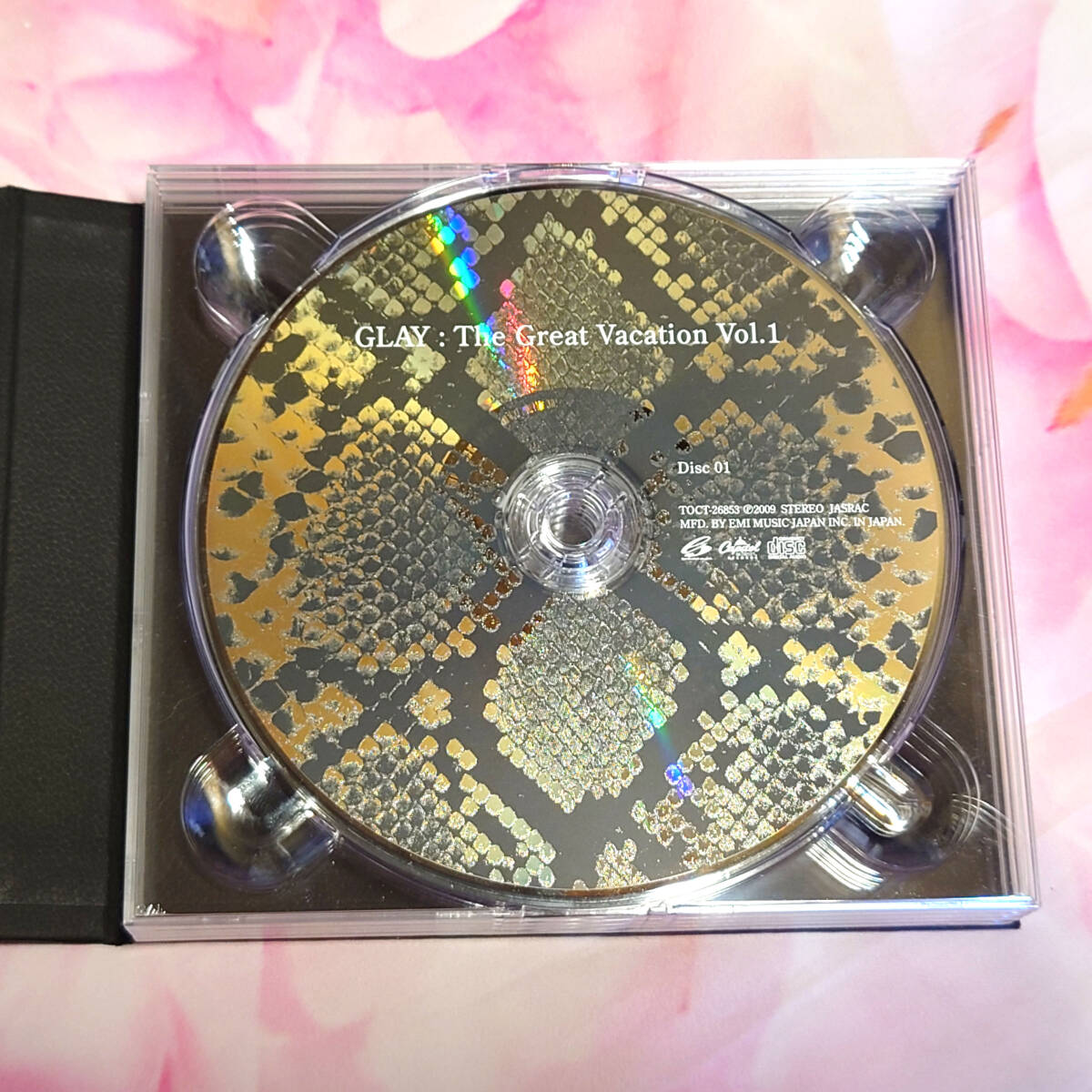 GLAY The Great Vacation Vol.1　限定版　中古　_画像6