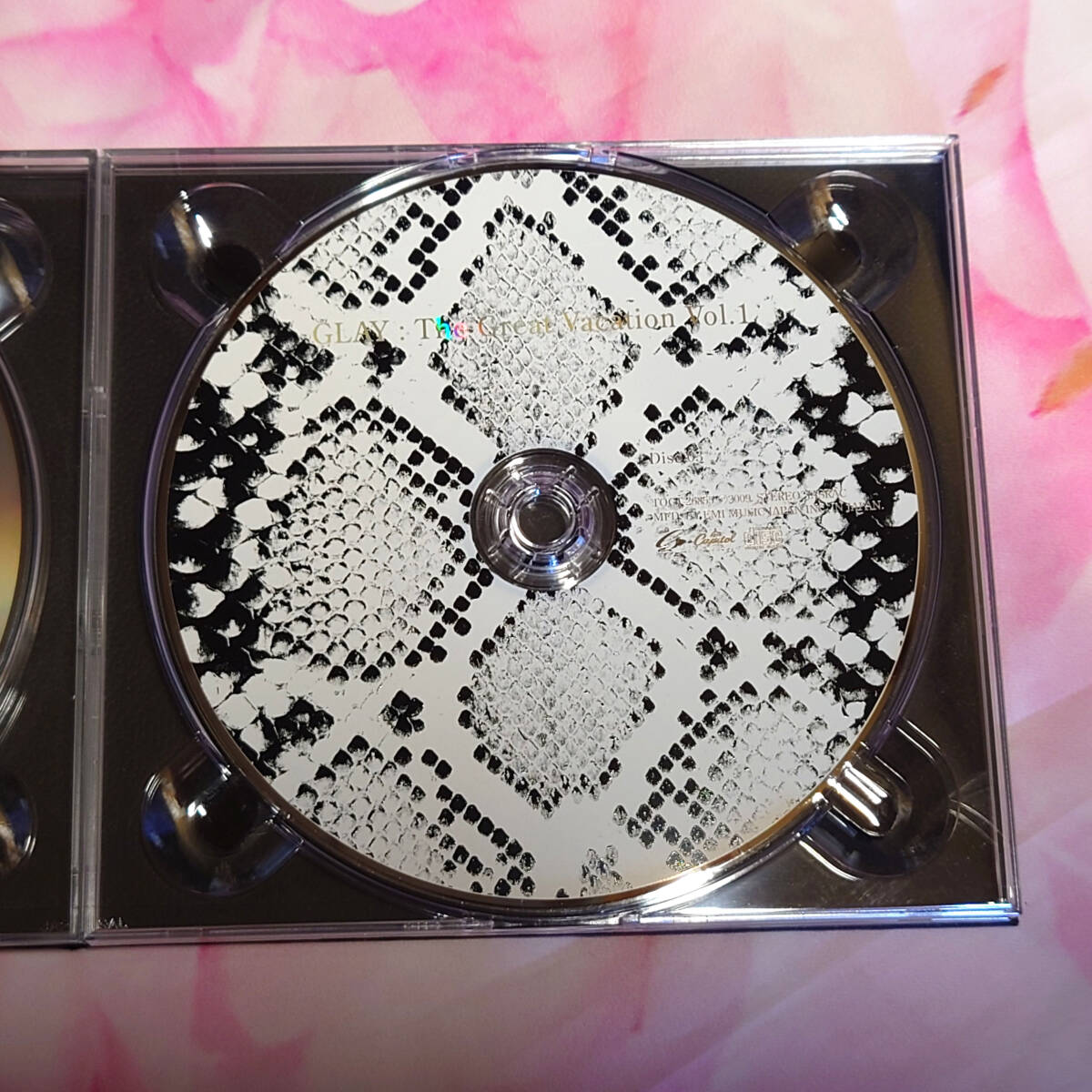 GLAY The Great Vacation Vol.1　限定版　中古　_画像9