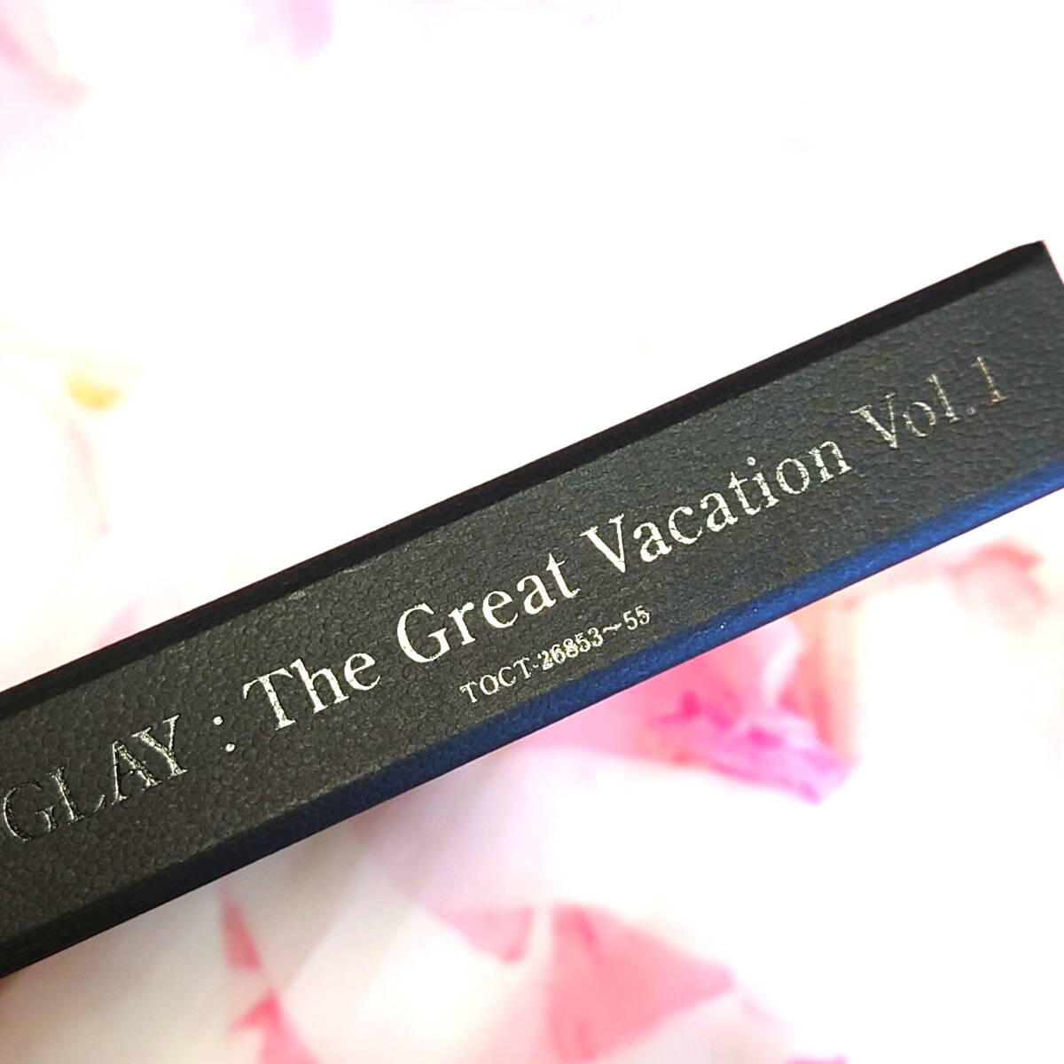 GLAY The Great Vacation Vol.1　限定版　中古　_画像10