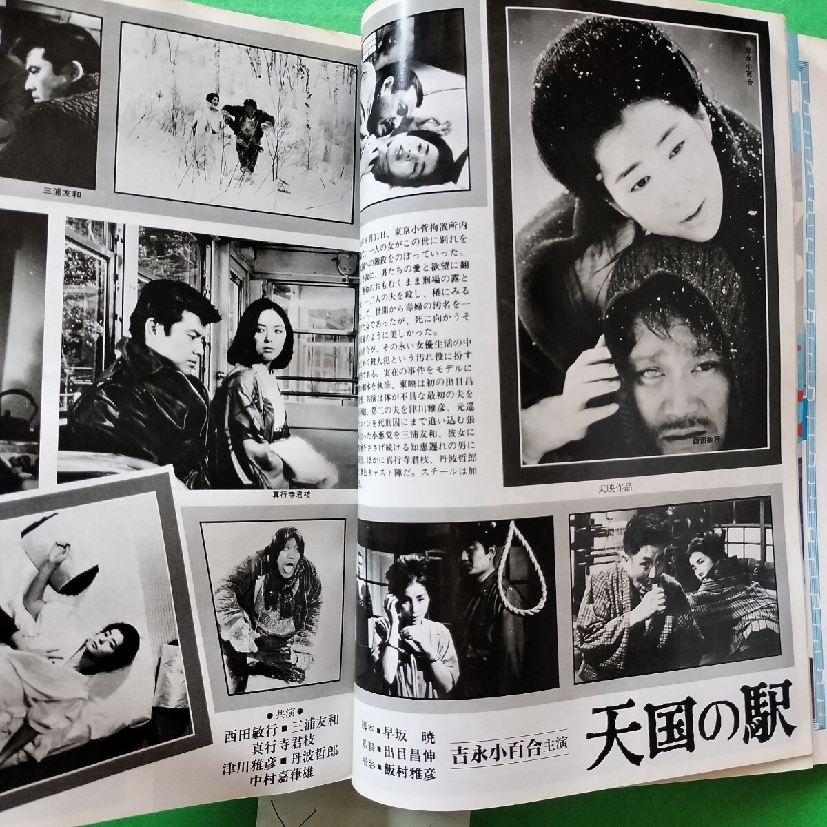 キネマ旬報　1984年6月下旬号　刑事物語3 杉村六朗 夏服のイゥ　松田聖子 天国の駅 吉永小百合 必殺 藤田まこと 逆噴射家族 青春共和国　_画像5