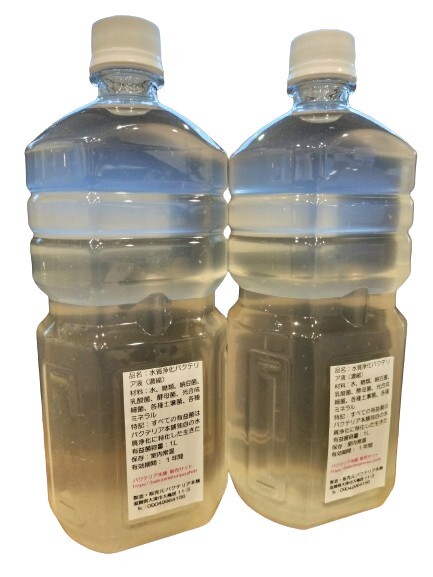 【バクテリア本舗】PSB強化型「武蔵」（2L）水質浄化複合バクテリア液　～らんちゅう,金魚,錦鯉,めだか,シュリンプ,熱帯魚,海水魚～_画像2