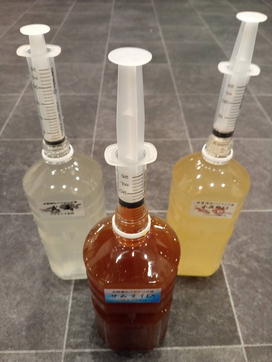 【バクテリア本舗】PSB強化型「卑弥呼」(5L)水質浄化複合バクテリア液 ~らんちゅう、金魚、めだか、シュリンプ、熱帯魚、海水魚~_画像5