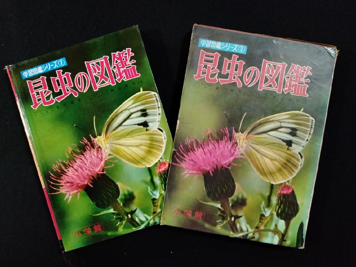 v* учеба иллюстрированная книга серии ② насекомое. иллюстрированная книга старый река . мужчина Nakayama . flat Shogakukan Inc. Showa 43 год модифицировано .25 версия старинная книга /O05 v* учеба иллюстрированная книга серии ② насекомое. иллюстрированная книга старый река . мужчина Nakayama . flat Shogakukan Inc. Showa 43 год модифицировано .25 версия старинная книга /O05