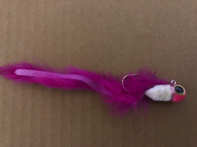 美品　プロジェクトゼロ　ビッグアイ GT-B_画像3