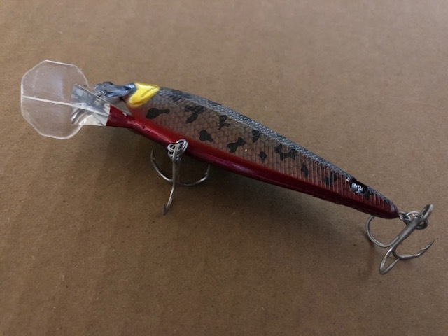 SmBD ドリフトミノー F_画像2