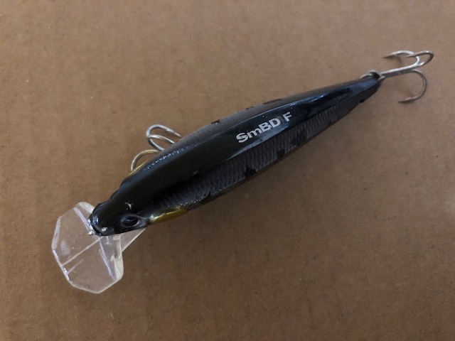 SmBD ドリフトミノー F_画像3