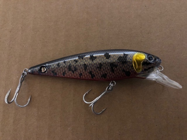 SmBD ドリフトミノー F_画像5