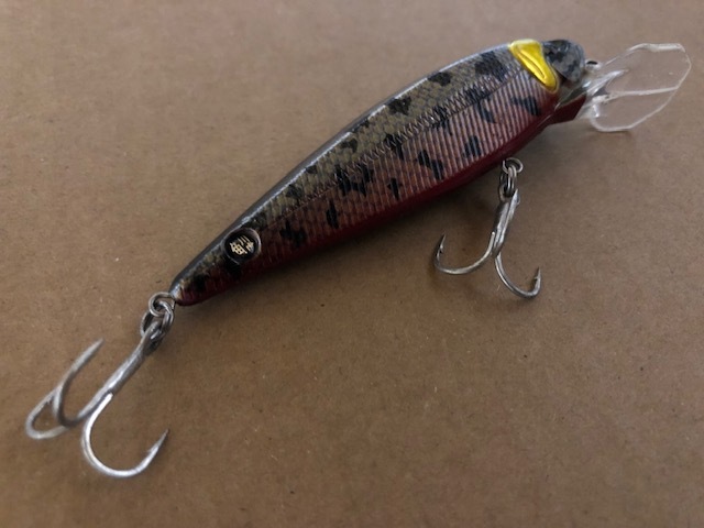 SmBD ドリフトミノー F_画像4