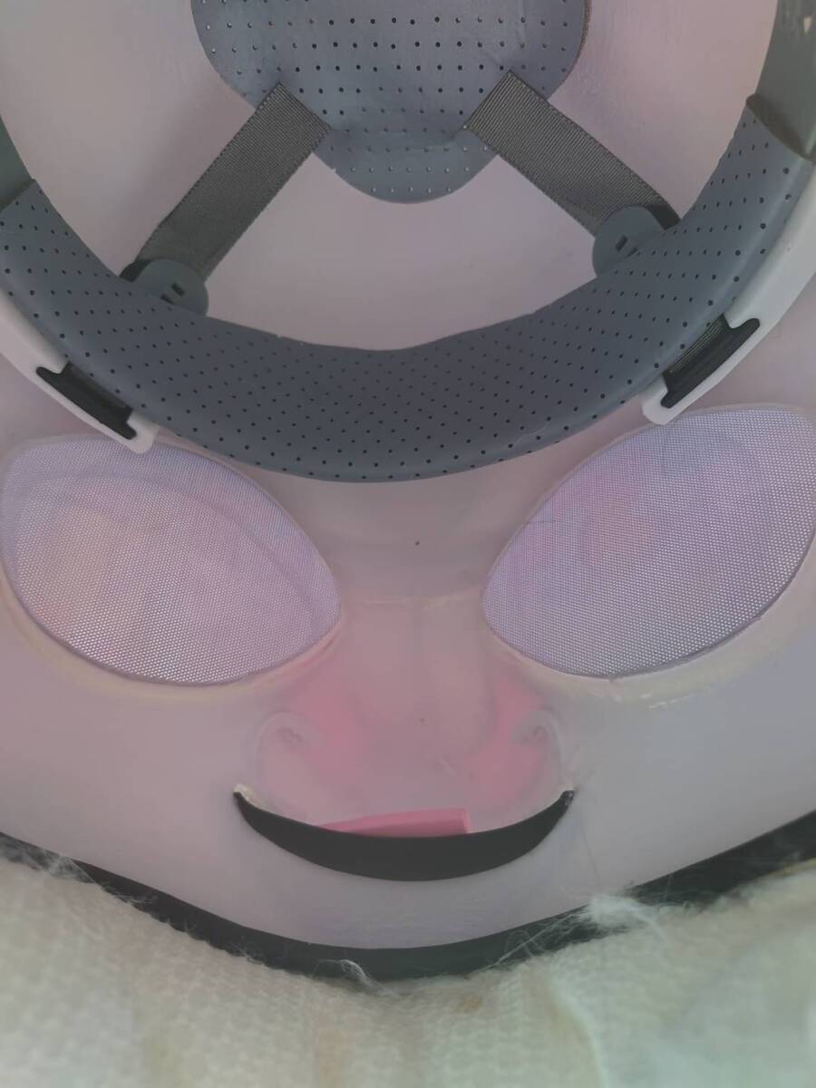 ケモノ着ぐるみ（全身・フルスーツ） 人形付き　マスク fursuit kigurumi cosplay ZX7_画像2