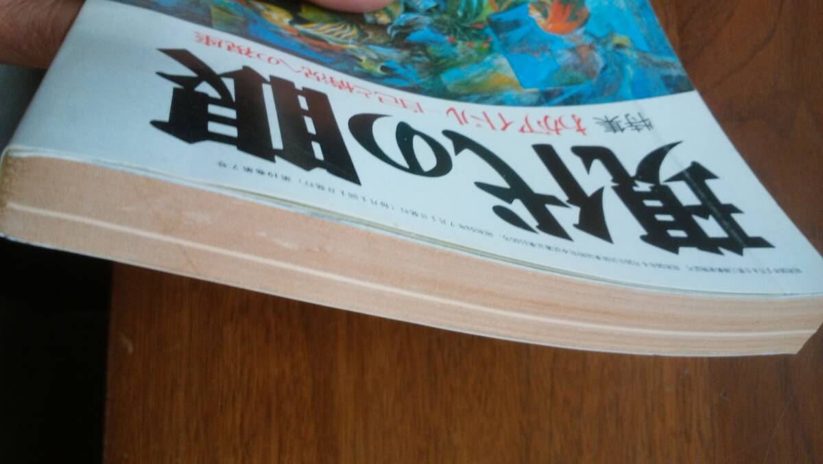 雑誌『現代の眼　1978年7月号　わがアイドル』　良好です　Ⅴ雑誌　グラフ：青ヶ島　竹中労・友川かずき・赤瀬川原平・東陽一・栗原貞子_画像2
