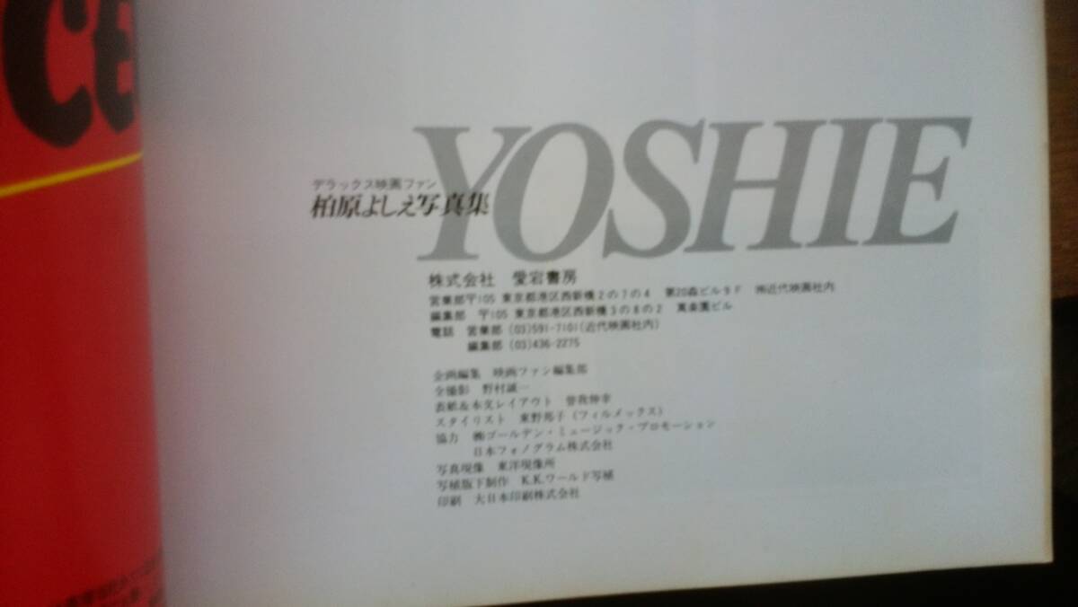  фотоальбом ... один : фотосъемка [ Deluxe фильм вентилятор Kashiwa .... фотоальбом ] обложка . часть выгорел * легкий потертость есть, товар среднего качества. Ⅵ2 фотоальбом 