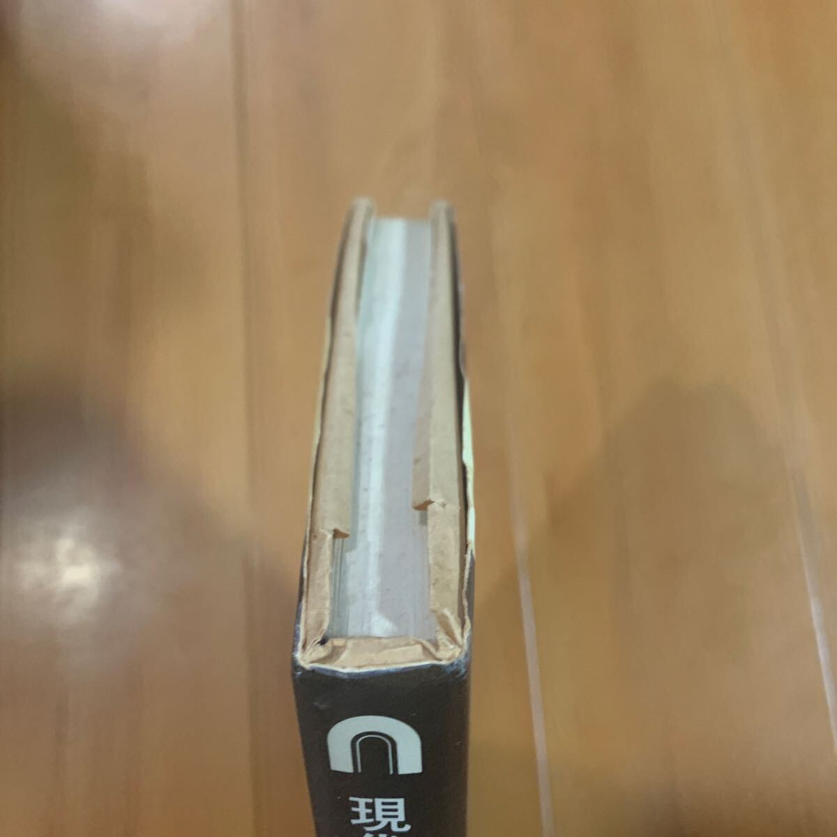 現代の神話　小松左京 山崎正和/著_画像7