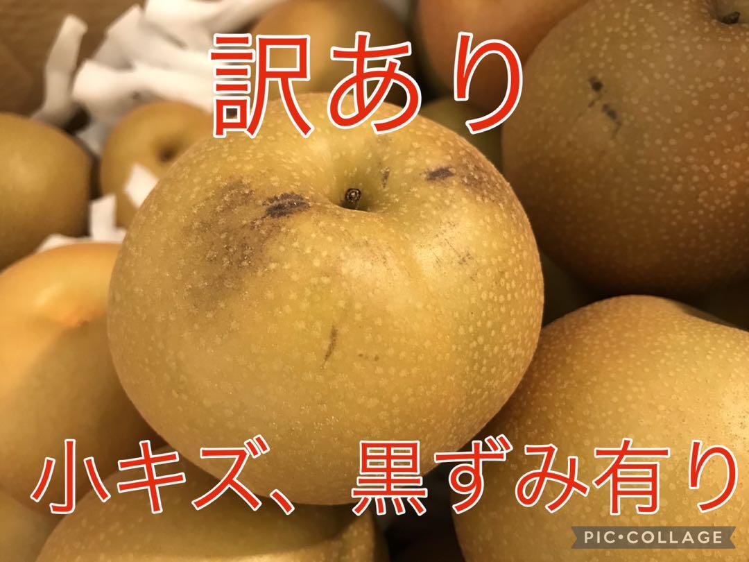 希少☆限定５様先着☆富山特産☆呉羽梨☆豊水梨☆訳あり大量２０~３０玉入り箱☆☆★訳あり加工用★_画像2