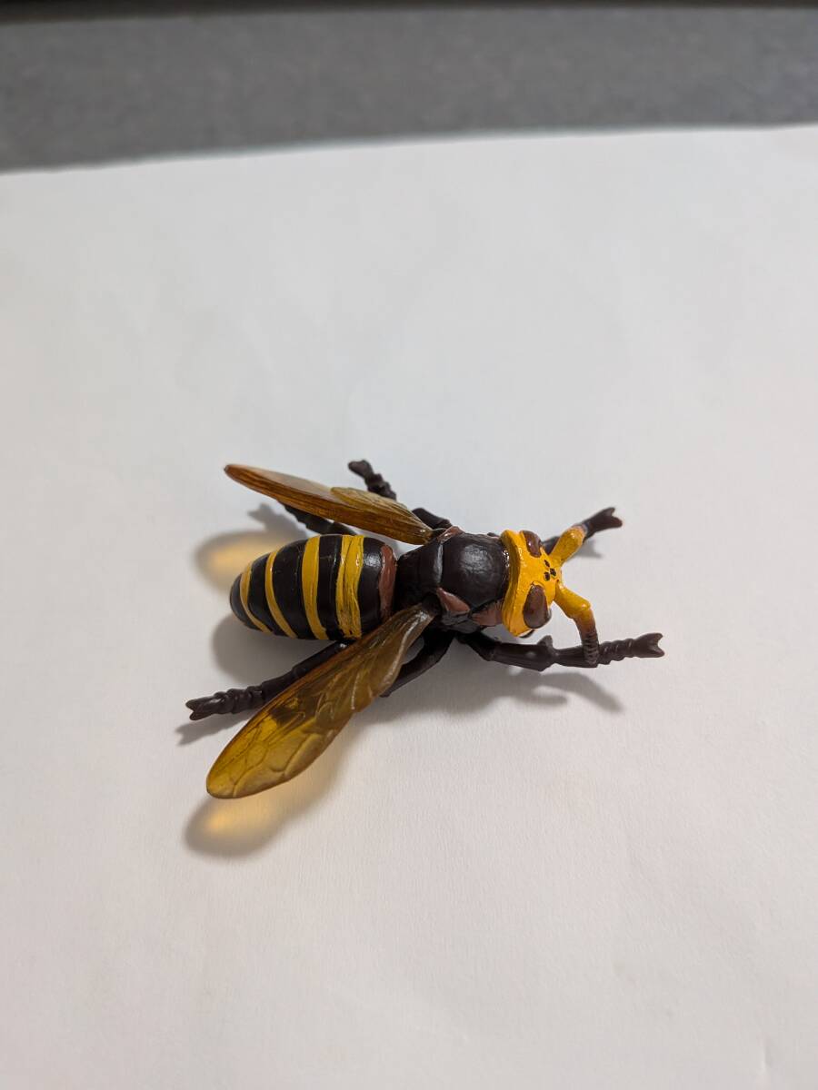 即決　スズメバチフィギュア　小さい方　ガチャおもちゃ　4ｇ_画像1