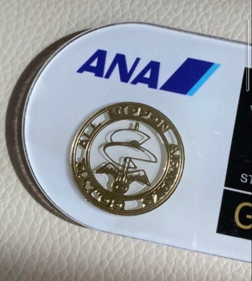 【非売品】新品未使用 ANA STAR ALLIANS GOLDフライトタグAIRWAYSマーク入り プラスチック製タグ_画像3