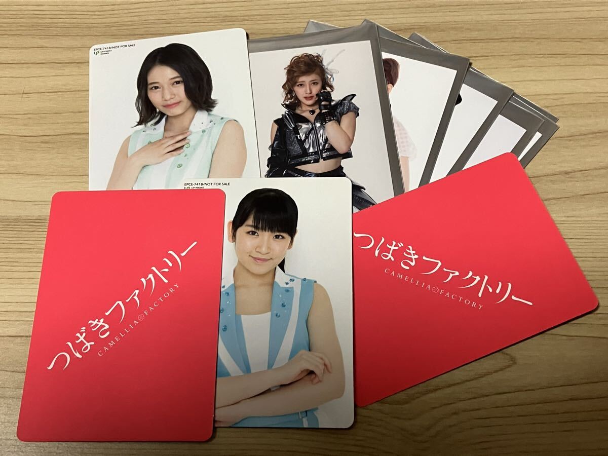 ハロプロ ミニ生写真 トレカ つばきファクトリー Berryz工房 夏焼雅 菅谷梨沙子 他 CD封入特典 即決 送料無料_画像1