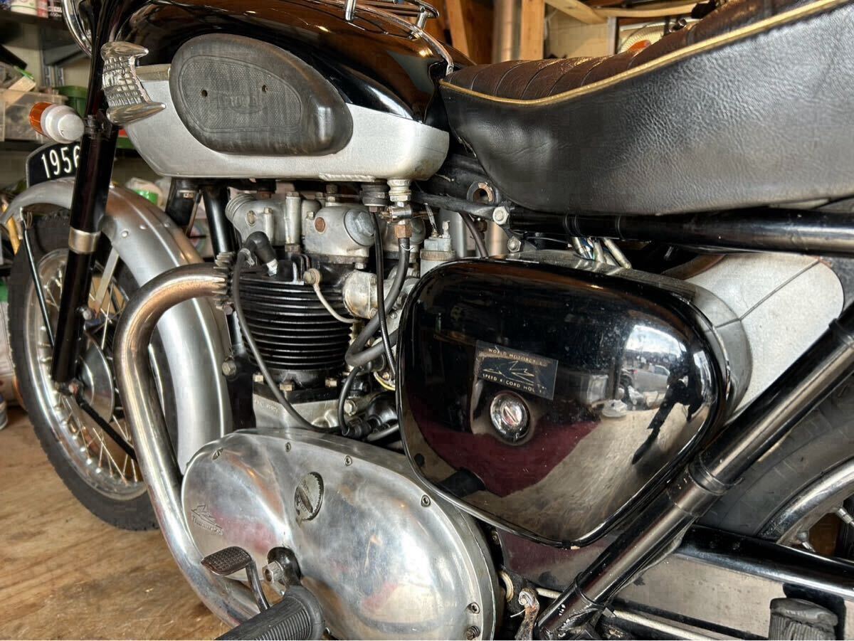 Triumph TRIUMPH 1956 6T Thunderbird Classic Британия машина