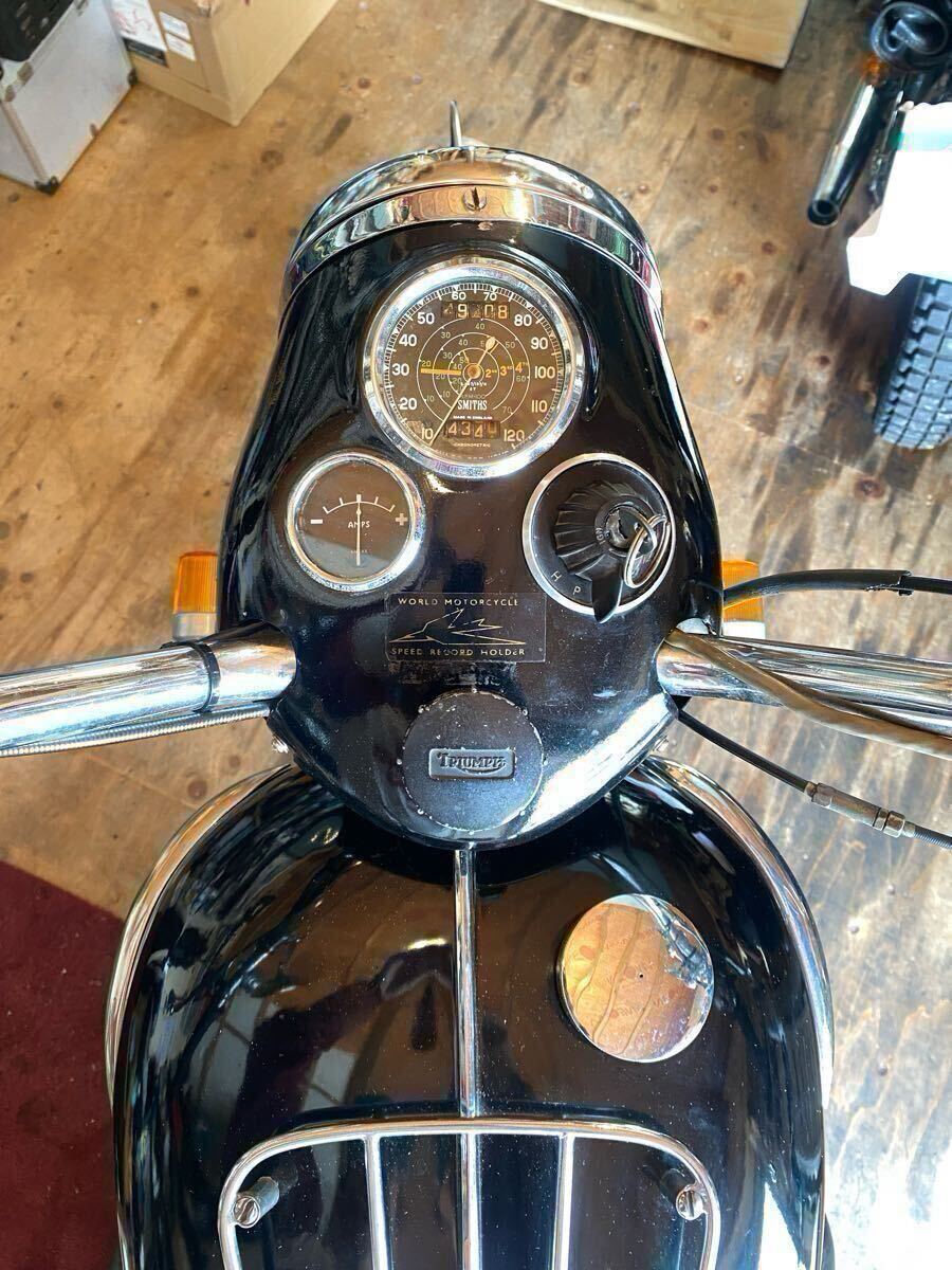 Triumph TRIUMPH 1956 6T Thunderbird Classic Британия машина