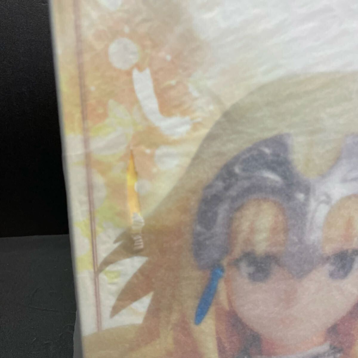 未開封 ルーラー 紅蓮の聖女 Fate/Apocrypha 1/7 アニプレックス ANIPLEX+限定 塗装済み完成品 フィギュア 670_画像5