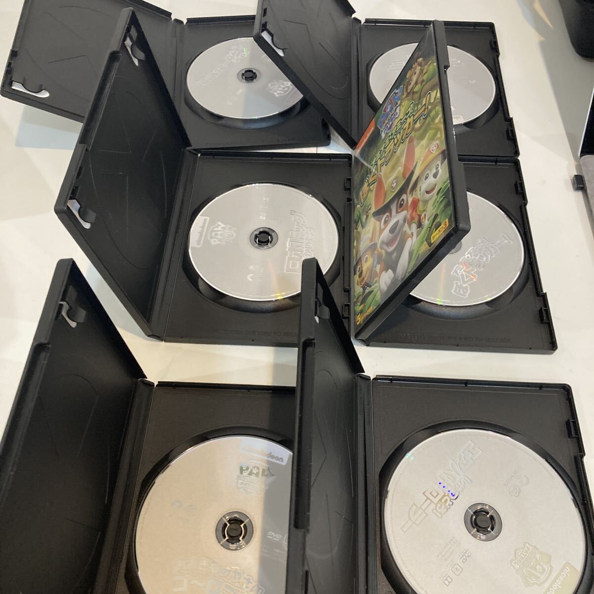 DVD パウパトロール nikelodeon アニメ　シーズン2 シーズン3 12枚セット　【1226】