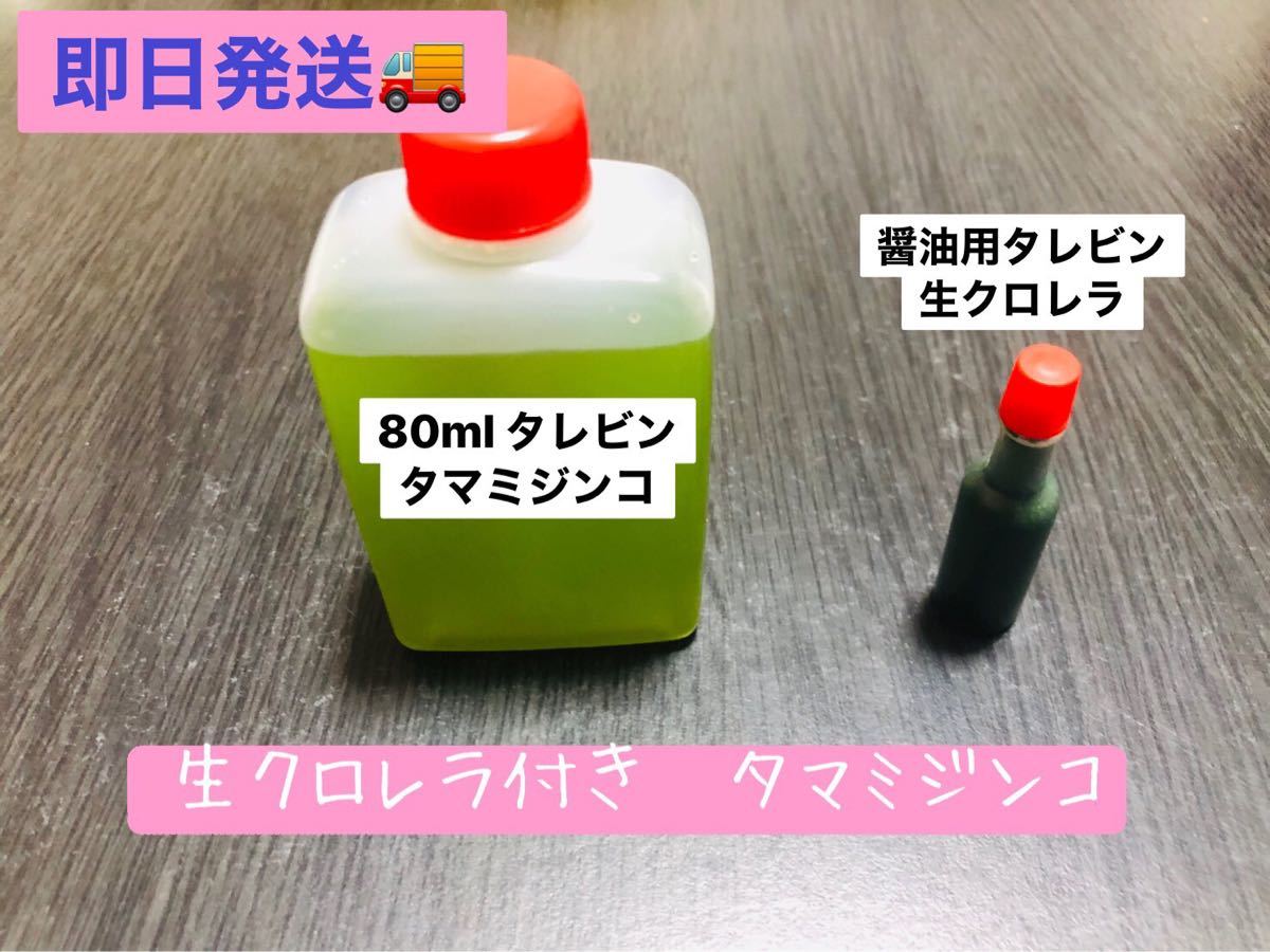 Paypayフリマ 生クロレラ付き タマミジンコ Paypayフリマ 生クロレラ付き タマミジンコ