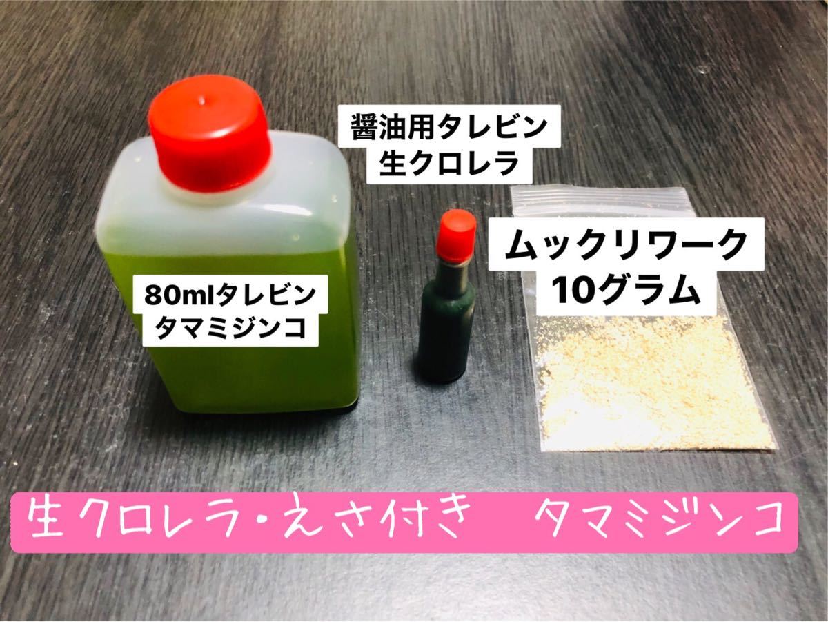 Paypayフリマ えさ付きタマミジンコ Paypayフリマ えさ付きタマミジンコ