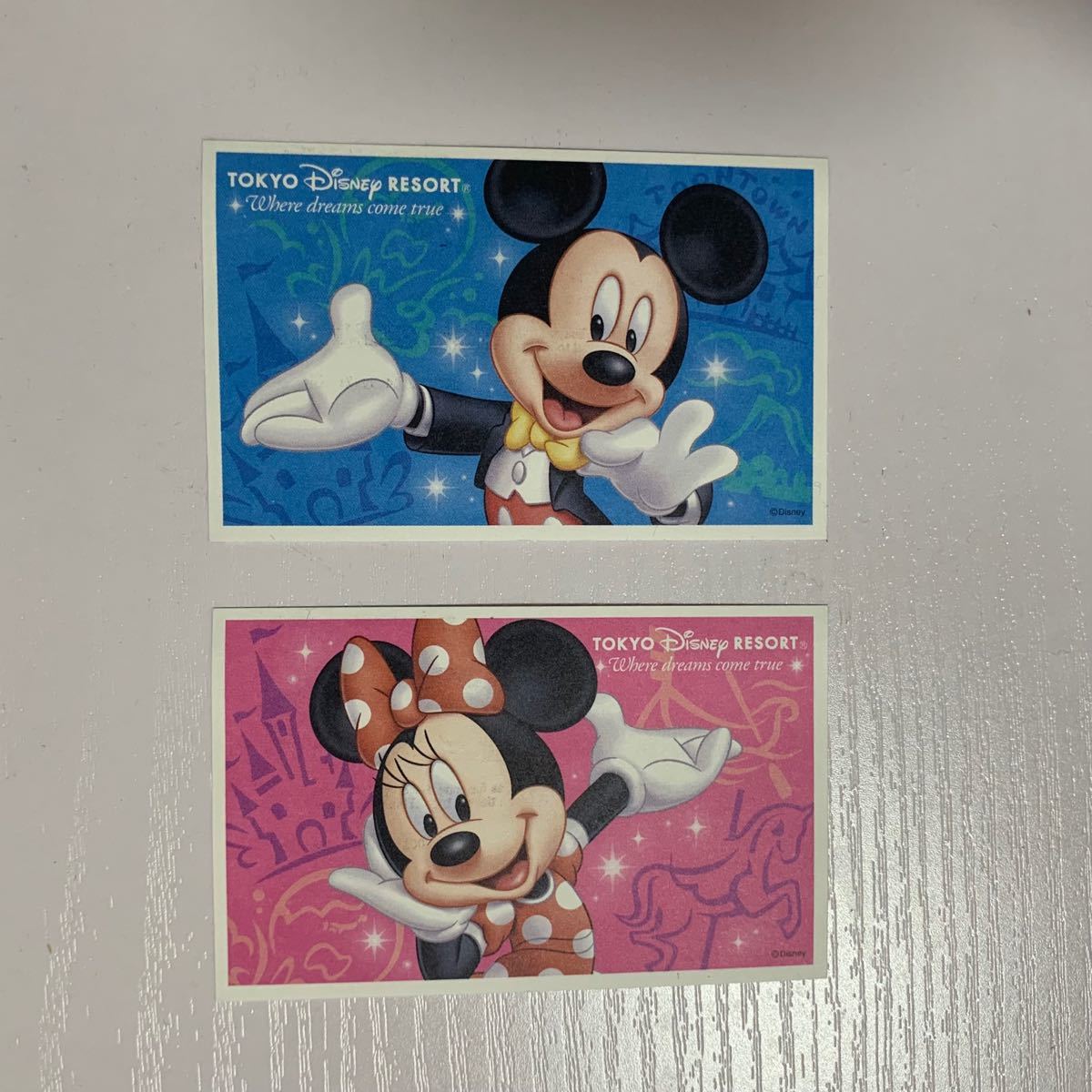 Paypayフリマ ディズニーリゾート ペアチケット Paypayフリマ ディズニーリゾート ペアチケット