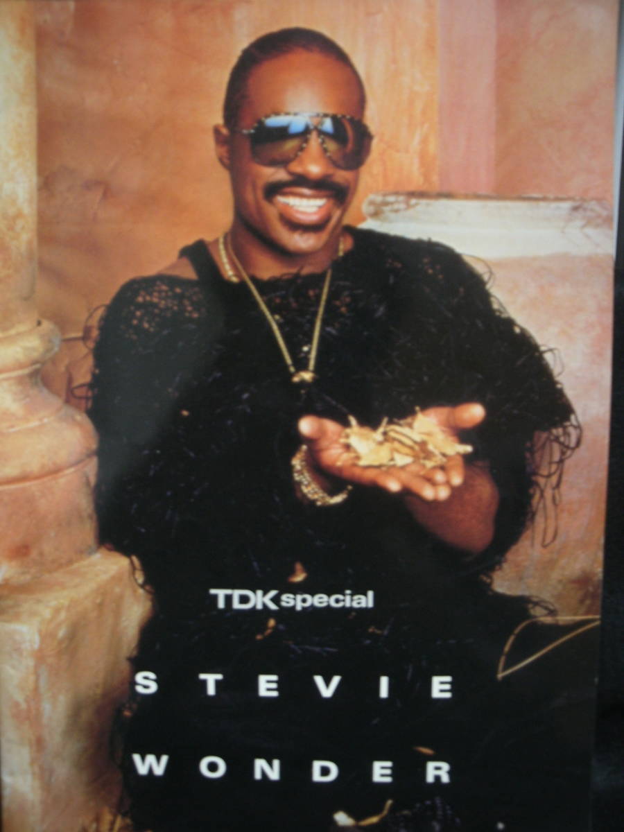 ●送料無料●中古パンフレット● STEVIE WONDER / TDK SPECIAL 1985 / スティービー・ワンダー_画像1