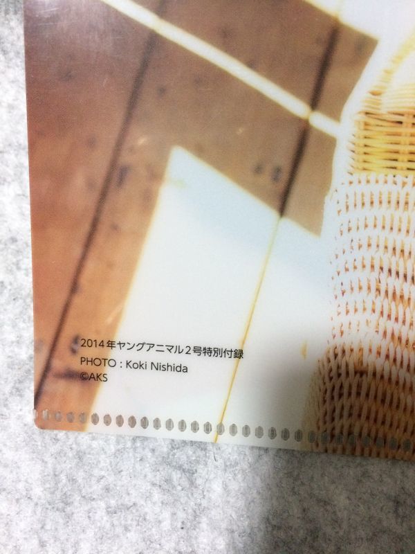 クリアファイル 松井玲奈 SKE48 2014年 ヤングアニマル 2月号付録 B5サイズ_画像3