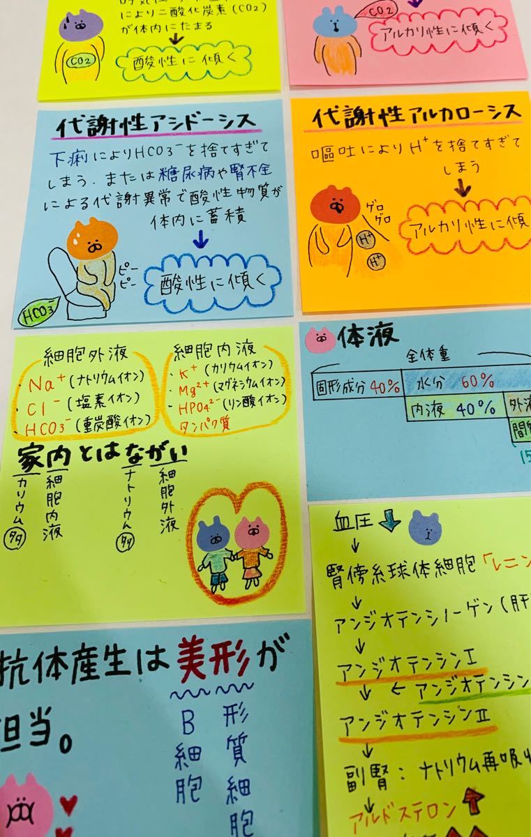 実習 レポート 看護 付箋 ノート セット (^ ^)|Yahoo!フリマ 実習 レポート 看護 付箋 ノート セット (^ ^)|Yahoo!フリマ