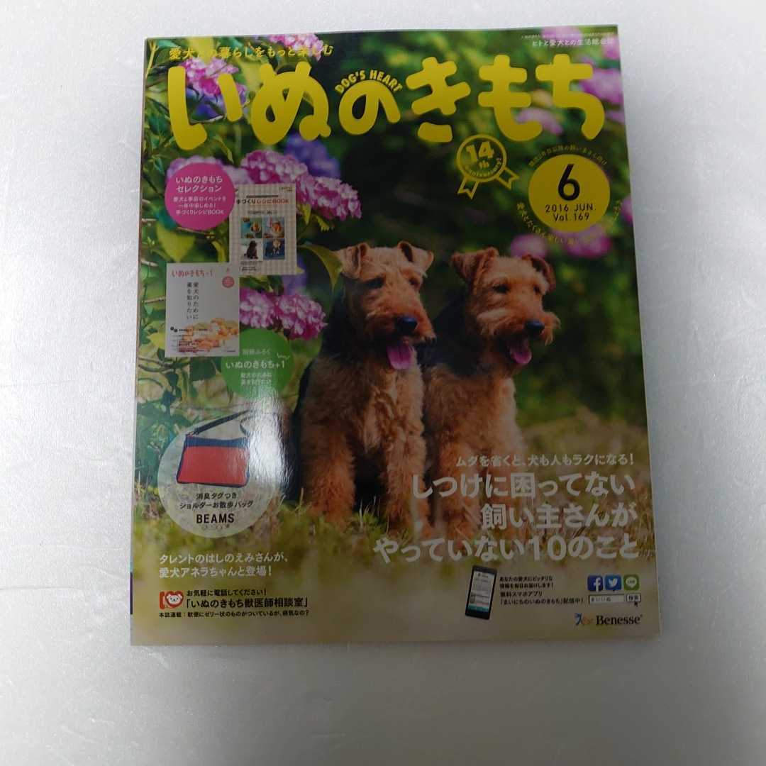 いぬのきもち 2016年03月号 付録はありません はしのえみ ウゥルシュ テリア 梅雨どきのトラブル 予防 ペキニーズ 代購幫 いぬのきもち 2016年03月号 付録はありません はしのえみ ウゥルシュ テリア 梅雨どきのトラブル 予防 ペキニーズ 代購幫