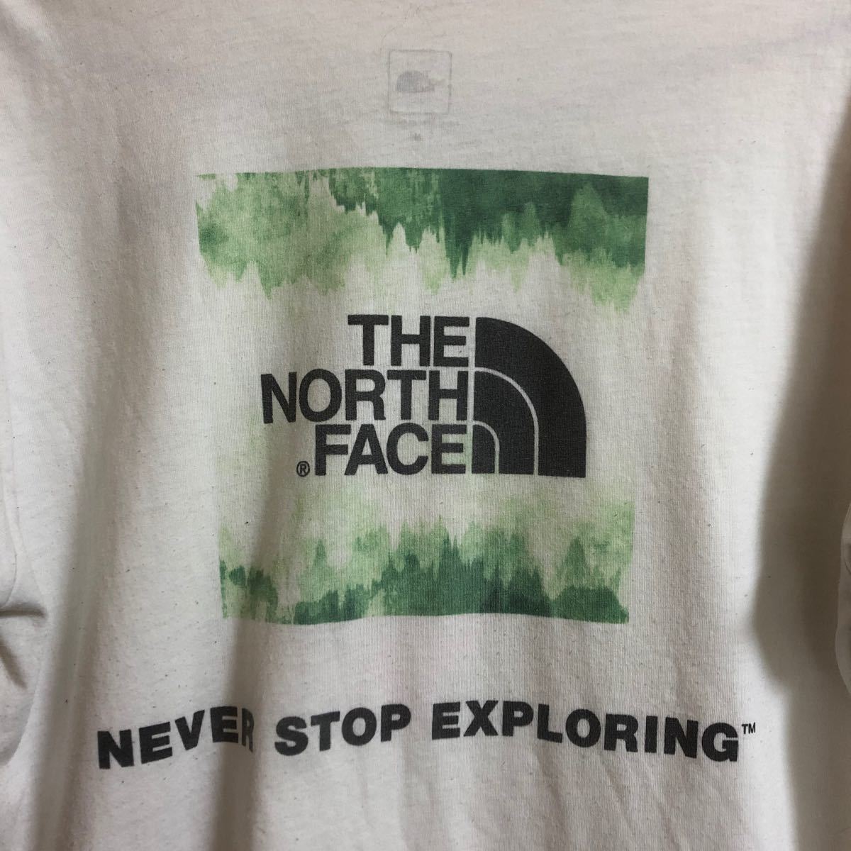 THE NORTH FACE ザノースフェイス  ロゴTシャツ