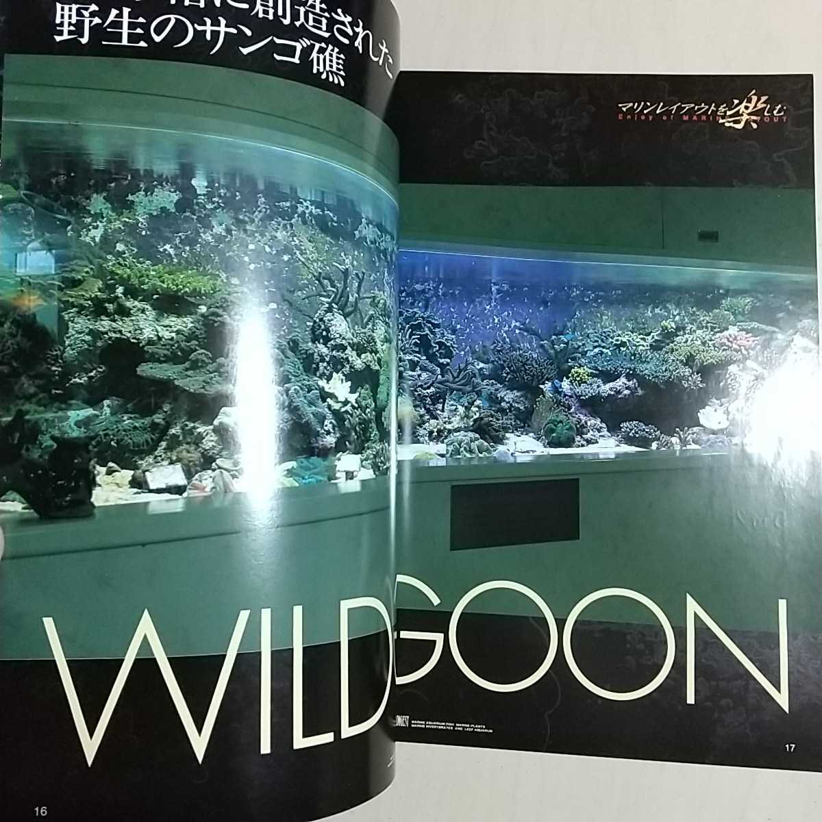 マリンアクアリウムダイジャスト Vol.2 ピーシーズ マリンレイアウトを楽しむ タツノオトシゴの愉快な世界 サンゴ 魚