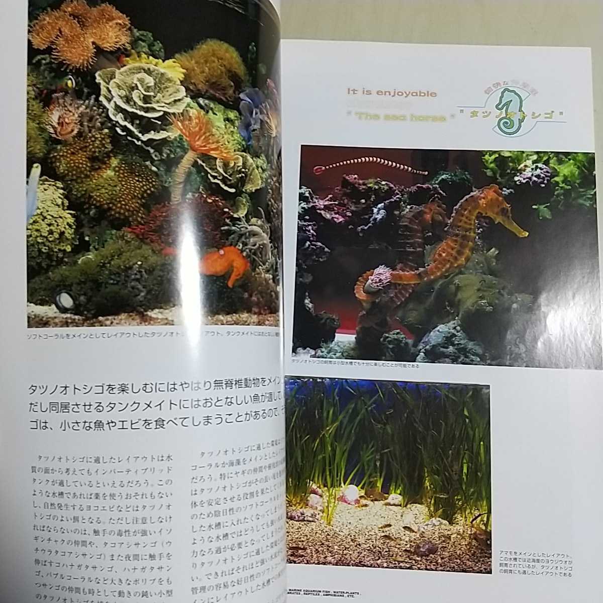 マリンアクアリウムダイジャスト Vol.2 ピーシーズ マリンレイアウトを楽しむ タツノオトシゴの愉快な世界 サンゴ 魚